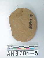 藏品(中砝碼型石網墜)的圖片